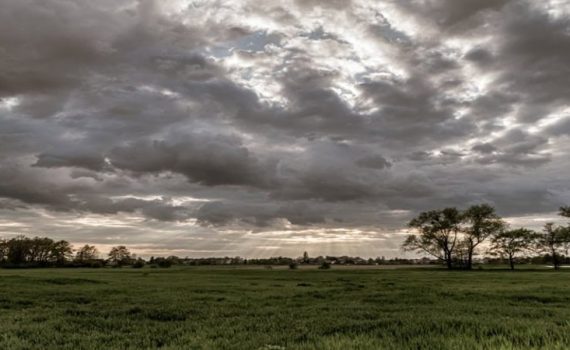 विदर्भात अवकाळी पावसाचा इशारा तर अकोल्यात उष्णतेची लाट