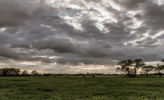 राज्यात दोन दिवस अवकाळी पावसाची शक्यता  