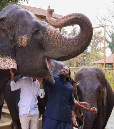 जामनगरातील वनतारा बनला प्राणी संरक्षण कार्याचा आदर्श नमुना