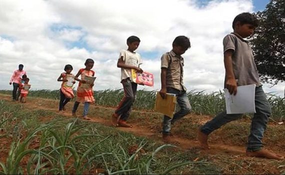 मोफत प्रशिक्षणातून विद्यार्थ्यांना नवी संधी