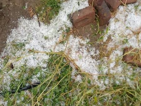 तुफान गारपिटीमुळे शेतीचे नुकसान