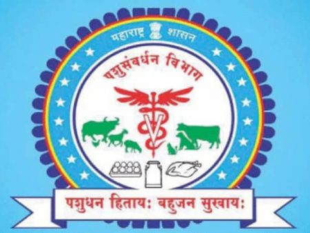 पशुसंवर्धन पतयोजनेतून शेतकऱ्यांना आर्थिक बळ
