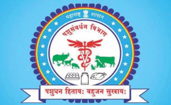 पशुसंवर्धन पतयोजनेतून शेतकऱ्यांना आर्थिक बळ