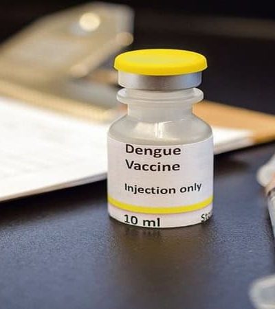 पहिली स्वदेशी डेंग्यू लस संशोधित