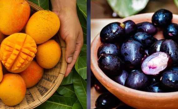 आंबा – जांभूळ बागायतदार पावसामुळे चिंतेत