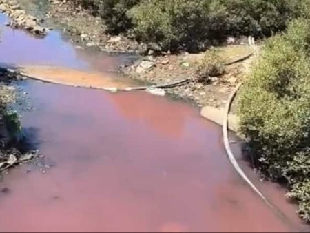 नवापूर खाडी रासायनिक प्रदूषणाच्या विळख्यात