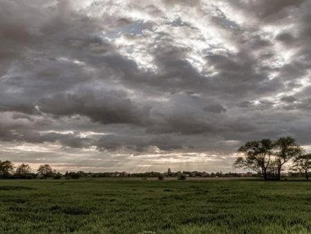 राज्यात अवकाळी पावसाचा इशारा