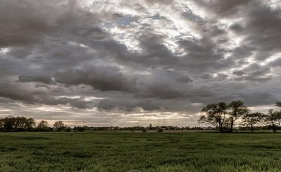 राज्यात अवकाळी पावसाचा इशारा