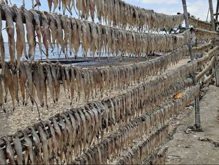 अवकाळी पावसाने मासळी व्यवसाय ठप्प