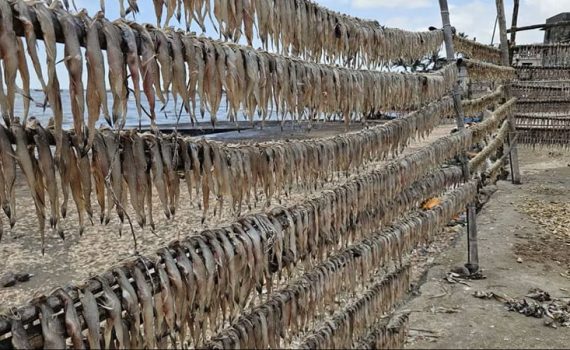 अवकाळी पावसाने मासळी व्यवसाय ठप्प