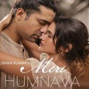 मेरे हमनवा – काळजाला भिडणारे गीत