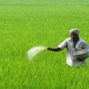 किनवट तालुक्यात खरीपाची जय्यत तयारी