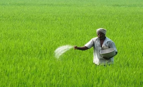 किनवट तालुक्यात खरीपाची जय्यत तयारी