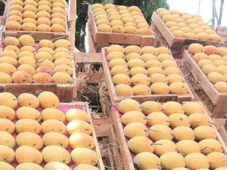 हापूसच्या पेटीवर उत्पादक राज्याचे नाव बंधनकारक