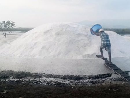 मीरा – भाईंदरच्या मिठागराबाबत केंद्राला दणका