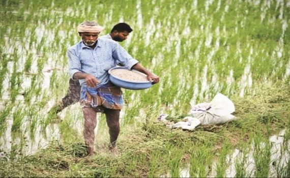 खतांच्या किमती वाढल्याने शेतकरी चिंतेत