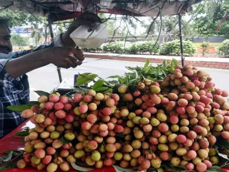 पालघरच्या बाजारात लिची दाखल