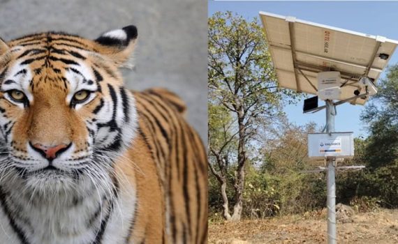 वन संवर्धनासाठी कृत्रिम बुद्धिमत्तेची मदत