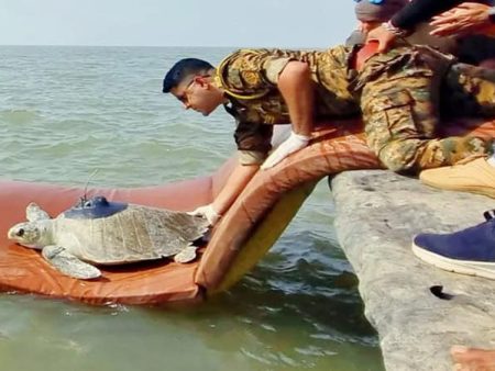 धवललक्ष्मीचे ओमानच्या किनाऱ्यावर आगमन