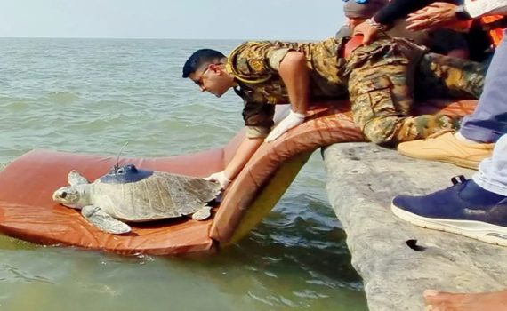 धवललक्ष्मीचे ओमानच्या किनाऱ्यावर आगमन