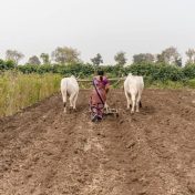 देवस्थान जमिनींसाठी लवकरच नवा कायदा