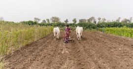 देवस्थान जमिनींसाठी लवकरच नवा कायदा