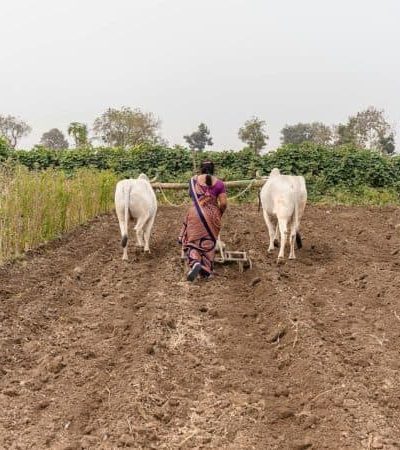 देवस्थान जमिनींसाठी लवकरच नवा कायदा