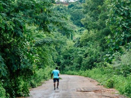 संजय गांधी उद्यानातील शुल्क वाढीस स्थगिती
