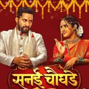 सनई चौघडे – राधिका सुभेदारची एन्ट्री