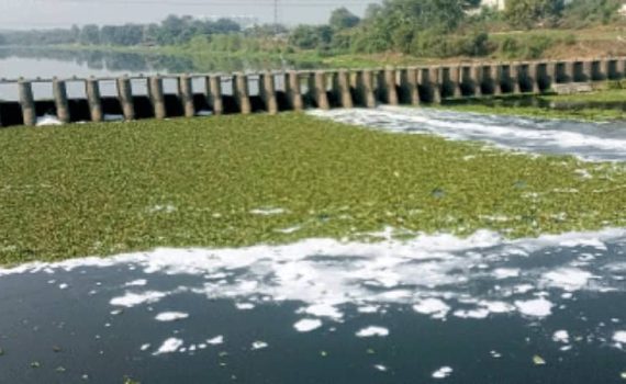 इंद्रायणी नदी प्रदूषणाच्या विळख्यात