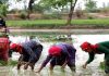 महिला शेतकऱ्यांना स्वतंत्र ओळख मिळणार