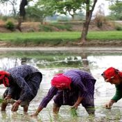 महिला शेतकऱ्यांना स्वतंत्र ओळख मिळणार