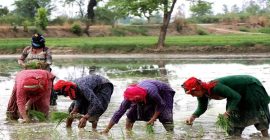 महिला शेतकऱ्यांना स्वतंत्र ओळख मिळणार