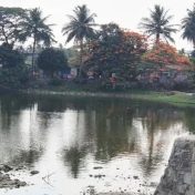 वसई विरारमधील तलावांचे रक्षण