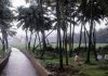 मान्सूनचे कोकणात धमाकेदार आगमन