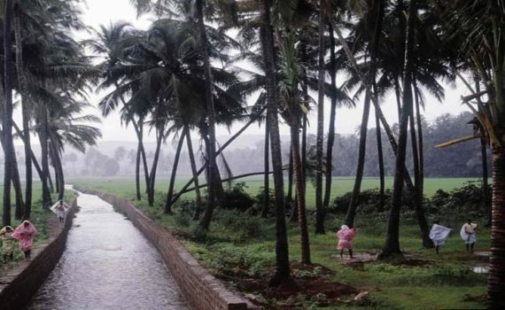 मान्सूनचे कोकणात धमाकेदार आगमन
