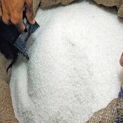 नेपाळला साखर निर्यात बंद