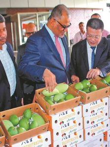 बांगलादेशी आंब्याची जपानला निर्यात