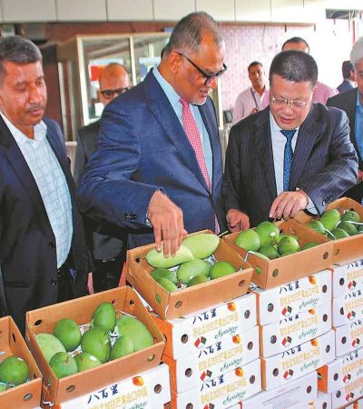 बांगलादेशी आंब्याची जपानला निर्यात