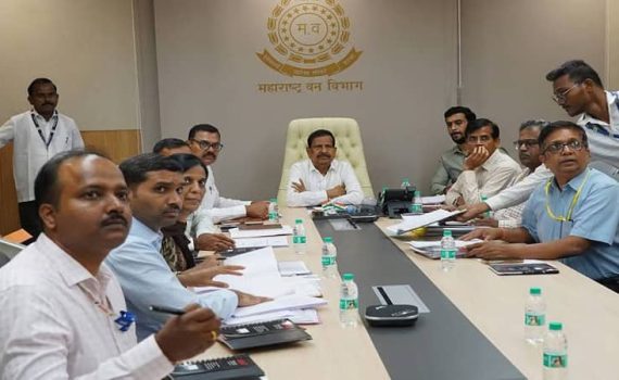 वणवे रोखण्यासाठी ऑस्ट्रेलियन तंत्रज्ञान