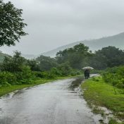 भिरा गावात मुसळधार पाऊस