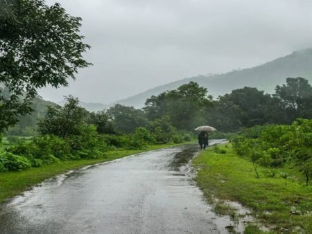 भिरा गावात मुसळधार पाऊस