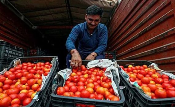 एपीएमसी बाजारात टोमॅटो महागले