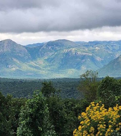 पश्चिम घाटात पर्यावरण संवेदनशील क्षेत्र