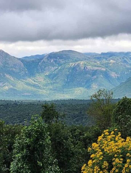 पश्चिम घाटात पर्यावरण संवेदनशील क्षेत्र