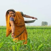 महिला शेतकऱ्यांना स्वतंत्र दर्जा