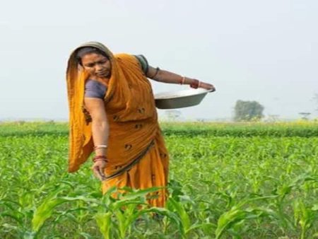 महिला शेतकऱ्यांना स्वतंत्र दर्जा