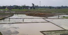 खरीप पेरणीचा टक्का वाढला