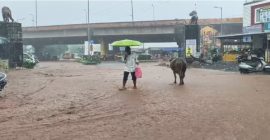 मुसळधार पावसामुळे जनजीवन विस्कळीत
