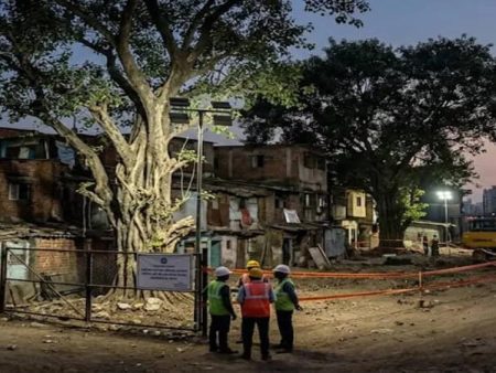 मुंबईत धारावी प्रकल्पासाठी वृक्षतोडीस मंजुरी
